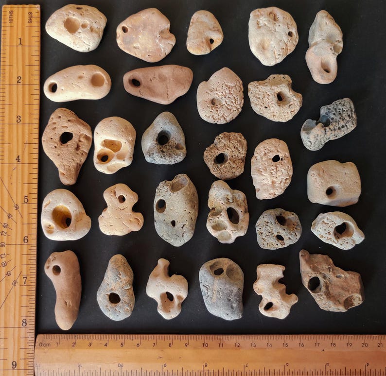 Stone Nature Ruler Large Hag Stones & Natural Holey Beach Stones, Odin, Witch, Fairy ...