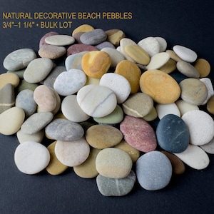 Guijarros de playa naturales a granel: piedras decorativas lisas de 19 mm a 31 mm para decoración del hogar, manualidades, exhibiciones zen y eventos. Envío con seguimiento a EE. UU., DDP.