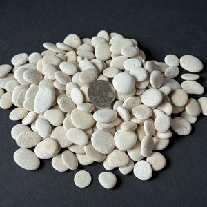 Piedras de playa blancas pequeñas a granel, 50-150 guijarros marinos naturales, 1/2&quot;-3/4&quot;