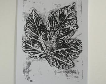 Sycamore Leaf Jelli-print op dik papier