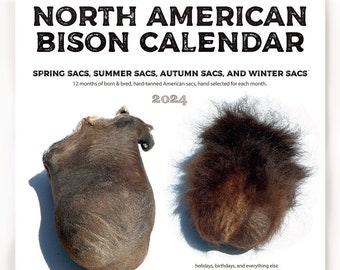 30% OFF - 2024 Bison Sac Wall Calendar - Funny men's gift - A unique and artful collection of buffalo sacs
