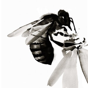 Bee Wall Art, Pollinators archival print of original charcoal drawing Featured by West Elm Bild 1