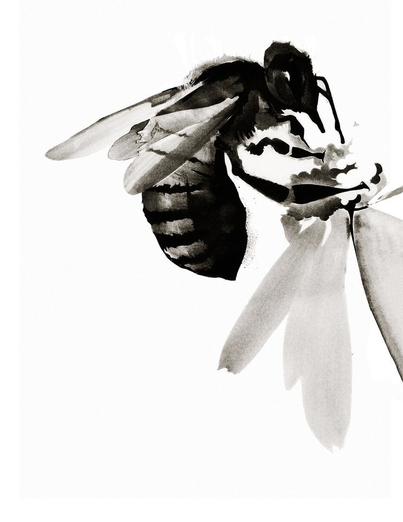 Bee Wall Art, Pollinators archival print of original charcoal drawing Featured by West Elm Bild 1