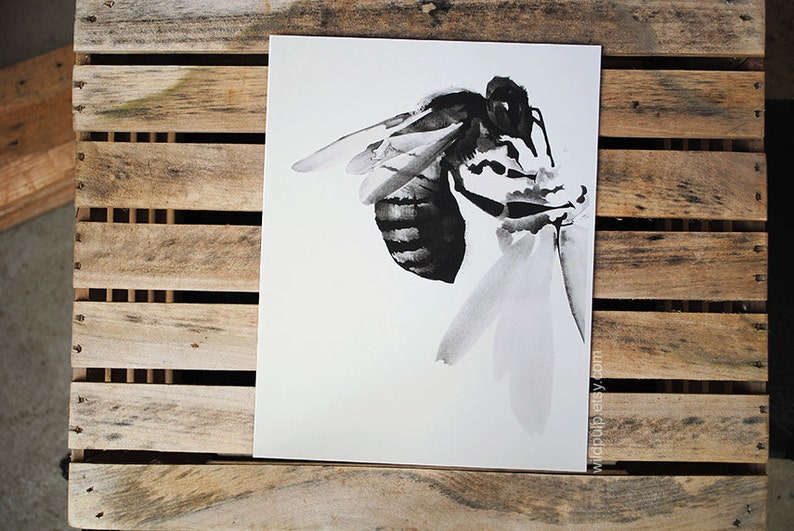 Bee Wall Art, Pollinators archival print of original charcoal drawing Featured by West Elm Bild 2