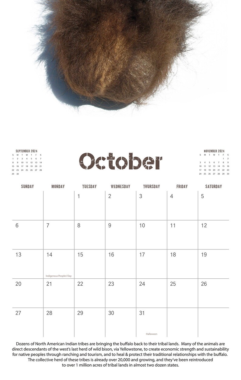 2024 Bison Sac Wall Calendar Funny Christmas Men's Gift A Unique and