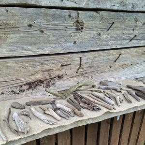 May include: A collection of driftwood pieces in various shapes and sizes, arranged on a burlap surface. The wood ranges in color from light gray to brown, with some pieces showing green algae. The background is a weathered wooden wall.