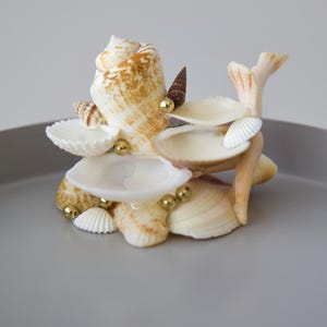 Seashell Jewelry Holder | Coastal Trinket Dish | Ocean-Inspired Decor