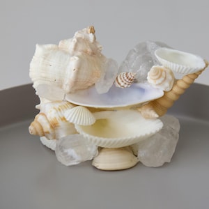 Seashell Jewelry Holder | Coastal Trinket Dish | Ocean-Inspired Decor