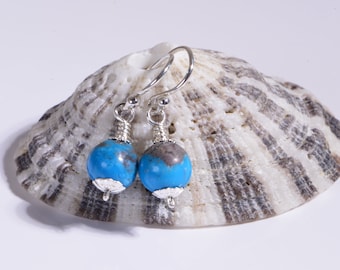 Op de afbeelding: Een paar zilveren oorbellen met blauwe en grijze edelsteen kralen. De oorbellen worden gepresenteerd op een schelp.