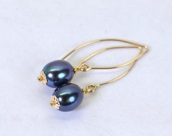 Tahitian Black Pearl Earrings, AAA Quality, 14K Gold Filled