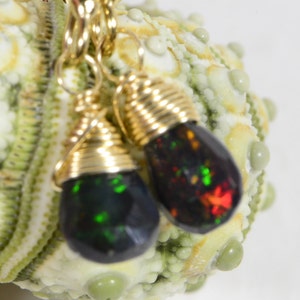 Black Ethiopian Opal Earrings 14 K gold Filled Tiny Earrings Jewelry Birthstone October