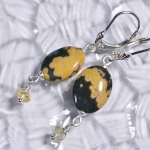 Ocean Jasper Earrings Gemstone Earrings Ocean Jasper Jewelry