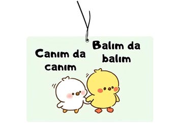 Canim billuftfräschare, turkisk dofthänge, present, bildekoration, roliga bildofter, luftfräschare, Araba Kokusu