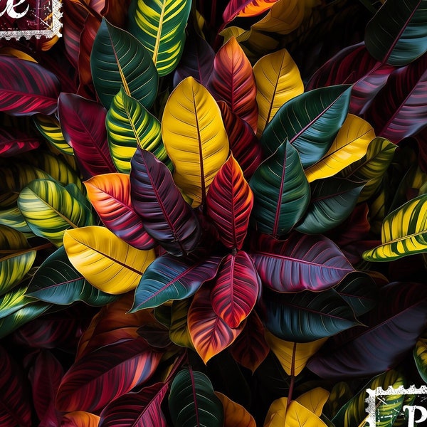 Vivid Croton   -  Home, Décor, Life, Gift, Art, Png File