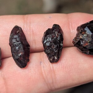 May include: Four rough, dark red-brown garnet crystals of varying sizes are displayed in a hand. The crystals have a natural, unpolished appearance with visible facets and textures. The largest crystal is approximately 1 inch in size.