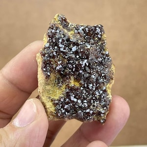 Pode incluir: Um espécime mineral bruto, sem corte, com um aglomerado de cristais vermelho escuro e brilhantes. Os cristais estão densamente agrupados numa matriz rugosa amarelo-castanha. A pedra natural é segurada na mão, mostrando a sua textura e cor.