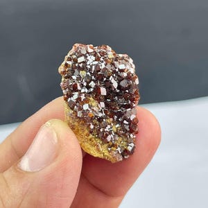 May include: A cluster of raw, uncut mineral crystals. The crystals are a deep reddish-brown color with white and yellow accents. The mineral has a rough, textured surface and is held in a hand.