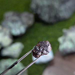 May include: A dark, faceted gemstone held by silver tweezers. The gem has a deep, reddish-brown color with reflective surfaces. The background is a blurred green with other stones.