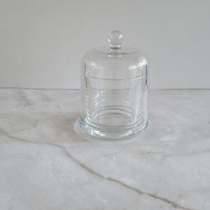 May include: A clear glass cloche with a rounded dome and a small knob on top. The cloche sits on a clear, circular base. The glass is transparent, allowing a view of the interior. The cloche is designed to protect and display items.