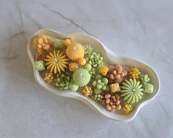 Cactus boat: Soy wax succulent decoration