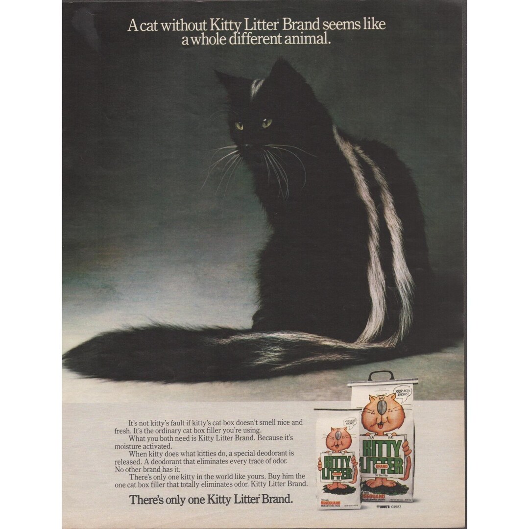 Kitty Litter Brand Black and White Cat Fresh Litter Advertising Print ...