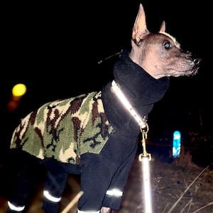 Reflektierendes Biothane Halsband für Hunde / Hundehalsband / verstellbar / feste Länge - in vielen Farben erhältlich
