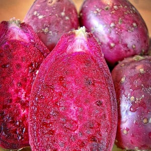 Wild-Harvested Prickly Pear Fruit (1 Dozen) – Fresh, Ripe, and Ready | Free Shipping!