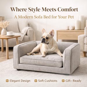 May include: A light grey modern sofa bed for a pet, with a French Bulldog lying on it. The bed has a rectangular shape with a cushioned seat and back. Text reads: "Where Style Meets Comfort. A Modern Sofa Bed for Your Pet."