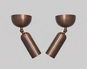 Pair Adjustable Brass Spotlight  Modern Ceiling Light Fixture, Directional Cylinder Lamp, Handmade Brass Lighting for Kitchen Hallway