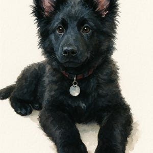 May include: Watercolor painting of a black German Shepherd puppy lying down. The puppy has dark fur, brown eyes, and a red collar with a silver tag. The background is a soft, off-white color.