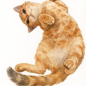 May include: Watercolor painting of a ginger cat lying on its back, looking at the viewer. The cat has a white belly, a striped tail, and a paw raised in the air. The cat's fur is a mix of orange and brown.