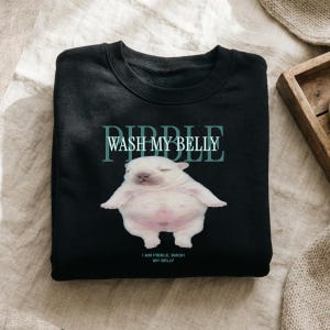 May include: Black sweatshirt with a graphic of a sleeping puppy and the text "WASH MY BELLY". Below the puppy, the text reads "I AM PIBBLE, WASH MY BELLY". The puppy is white with pink accents.