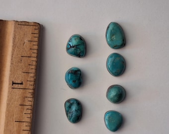 Lot of 7 Small American Turquoise Cabochons  7/18