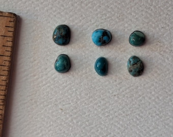 Lot of 6 Tiny American Turquoise Cabochons  6/4.5