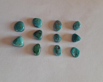 Lot of 11 Small American Turquoise Cabochons  11/20
