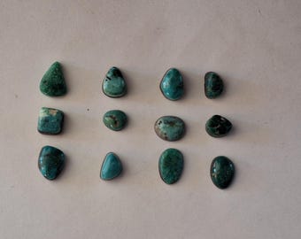 Lot of 12 Small American Turquoise Cabochons  12/