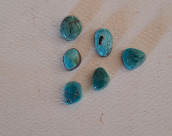 Lot of 6 Small American Turquoise Cabochons  6/11.5