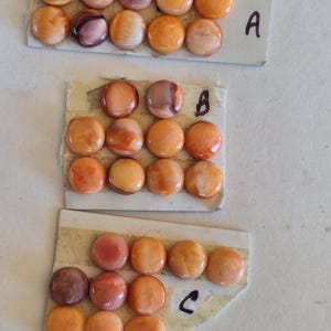 May include: Three sets of orange and brown cabochon beads arranged on rectangular cardboard. Each set is labeled with a letter: A, B, and C. The beads have a glossy finish and vary in color from light orange to deep brown.