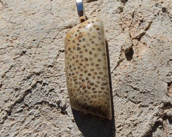 Petrified Palmwood Pendant Necklace