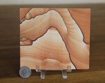 Natural Sandstone Specimen with Display Stand – Unique Geological Stone – Earthy Mineral Decor – Collector Rock