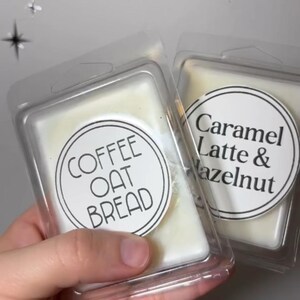 Soy | Cloud & Succulent Wax Melts | Wax Bars