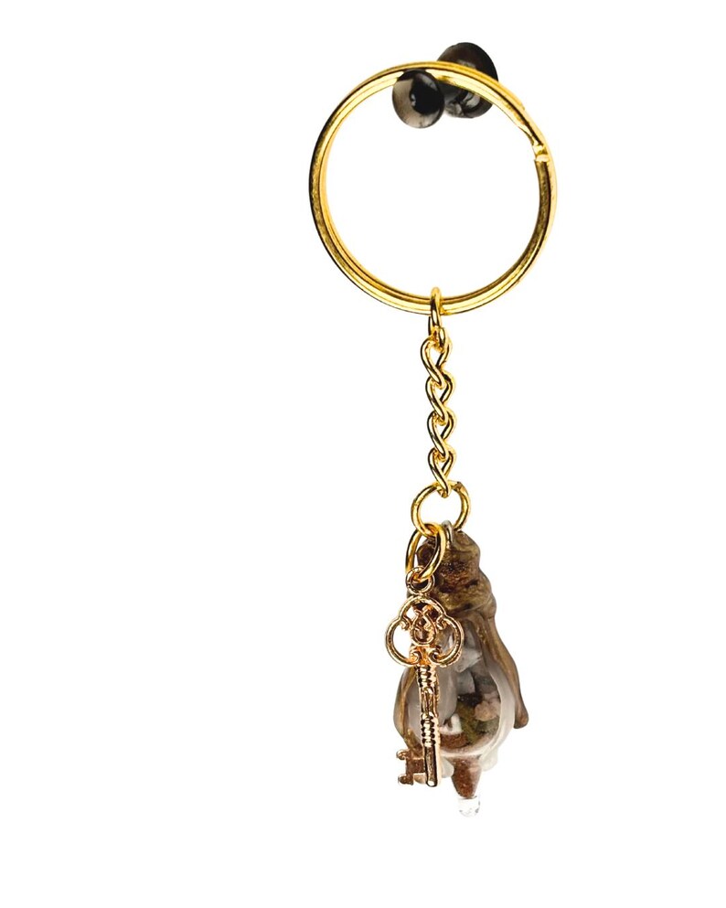 May include: A gold-colored keychain with a small, clear, teardrop-shaped charm containing natural elements. A small, gold-colored key charm hangs from the teardrop. The keychain has a gold ring and chain.