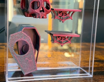 Conjunto de calavera/ataúd/estantes de araña saltadora