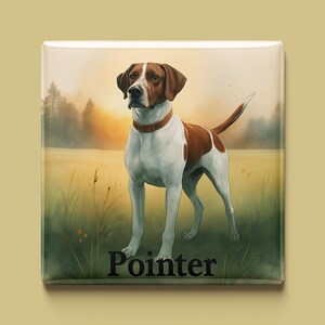Könnte beinhalten: Quadratisches Bild mit einer Illustration eines Pointer-Hundes. Der Hund ist weiß und braun und steht in einem Feld mit Sonnenuntergang im Hintergrund. Das Wort "Pointer" steht unten in Schwarz.