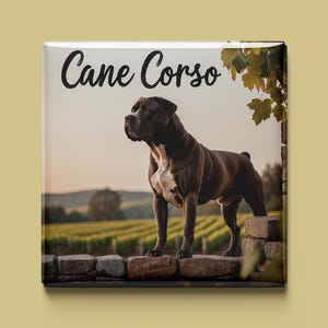 Puede incluir: Botón cuadrado con un perro Cane Corso de pie sobre un muro de piedra con un viñedo de fondo. El perro es marrón con marcas blancas. El texto "Cane Corso" está escrito en cursiva.