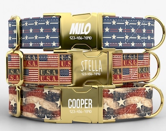 Patriotic Collar & Leash Collection | Metal Buckle | Adjustable | USA Made | American Flag  | TPRNC-2