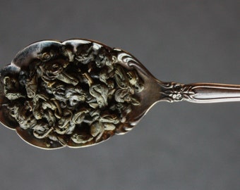 May include: Close-up of a silver spoon filled with green tea leaves. The spoon has an ornate, floral design on the handle and bowl. The tea leaves are tightly packed, showing their texture and color against the silver.
