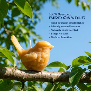 a hand-poured small batch of ethically sourced beeswax bird candle. It is naturally honey-scented, 3 high x 4 wide, and has a 20-hour burn time. The candle is perched on a branch, surrounded by green leaves, creating a serene and natural setting.