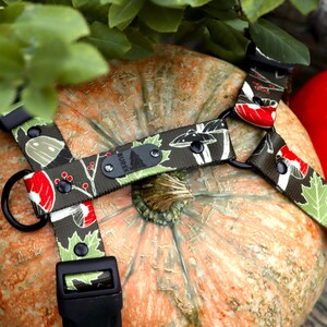 May include: A dog harness with a black buckle and a D-ring is placed on a large, orange pumpkin. The harness has a dark green pattern with red berries and white mushrooms. A smaller, bright orange pumpkin is visible in the background.