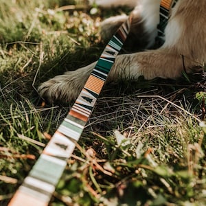 Op de afbeelding: Een hondenriem met patroon met een herhalend ontwerp van groene, oranje, bruine en witte strepen en een boomafbeelding. De riem ligt op groen gras naast een hondenpoot.